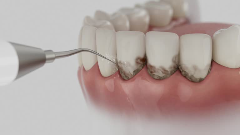 Reliable Dental contractor in Paola, KS by Dentist Open Now